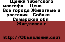 Щенки тибетского мастифа. › Цена ­ 30 000 - Все города Животные и растения » Собаки   . Самарская обл.,Жигулевск г.